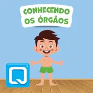 Conhecendo os órgãos